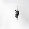 Aviation